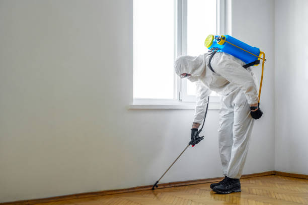 Best Termite Inspection and Treatment  in Maysville, MO